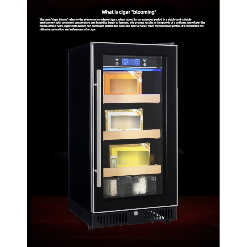150-300 Zigarren-Humidor-Schra – Home Bar And Cabinet Bewertung und Preis